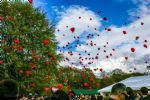 G-Festival Balloon Release